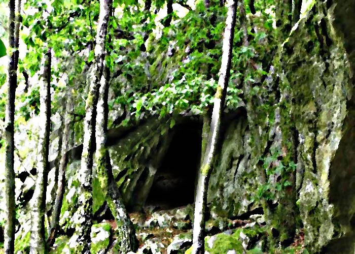 Les pensées séduites par le pouvoir des roches et des forêts