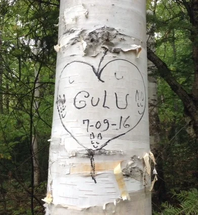 Haïkus et mémoire, nouvelle version  