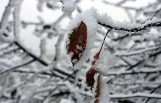 Abia-ntelese, pline de-ntelesuri (1)
