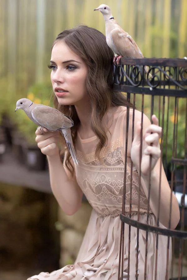 Mes poèmes voyagent…