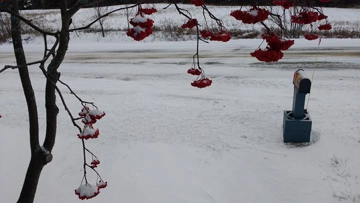 L'hiver cogne à ma porte