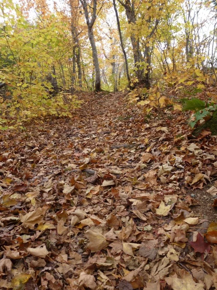 L'automne frappe à nos portes