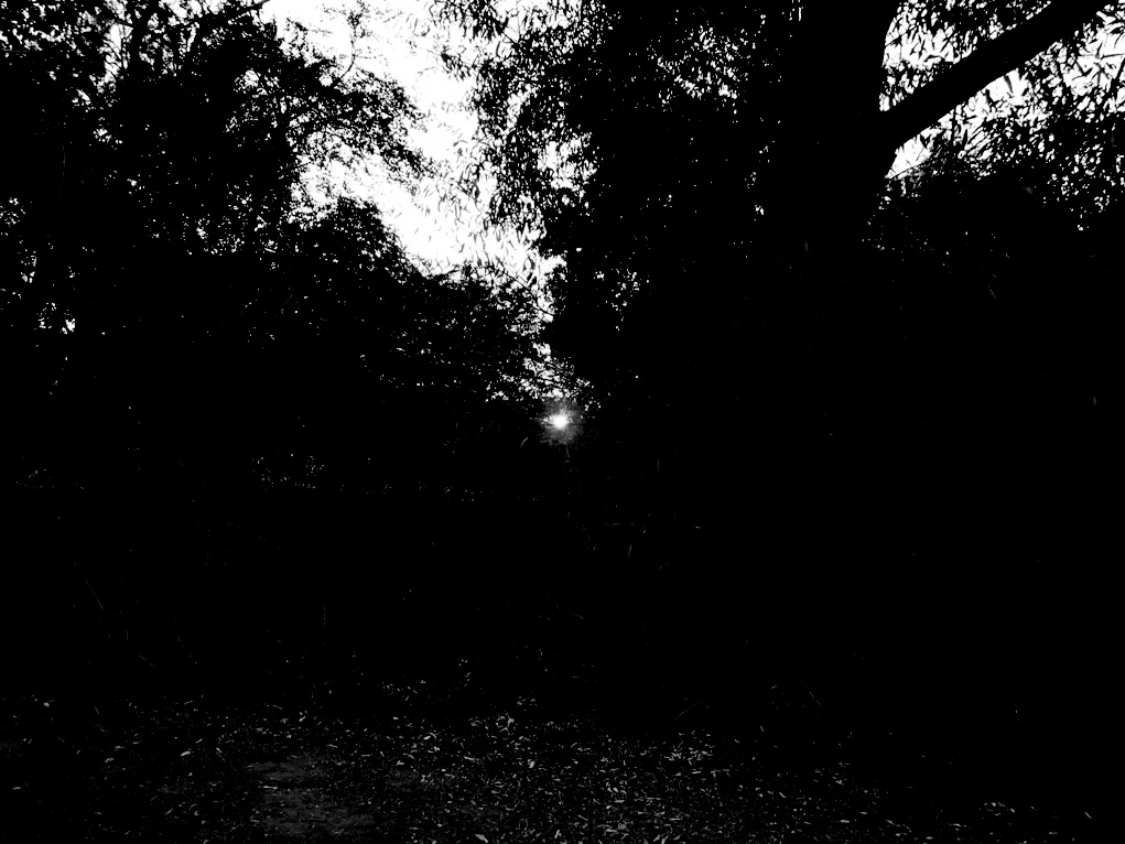 heilige nacht anno 1989