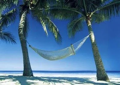 L'adage du parfait paresseux 