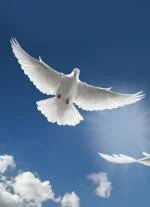 Mon plus grand rêve