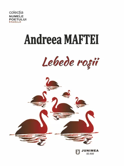 Universul începe să miște