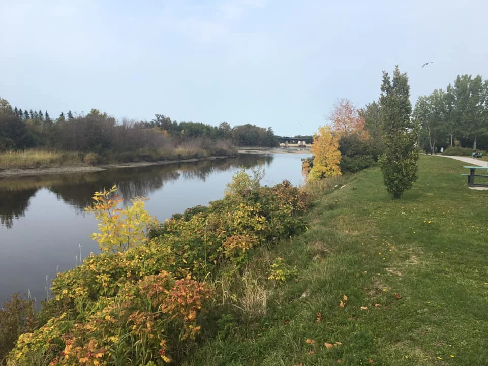 Au bord de la rivière