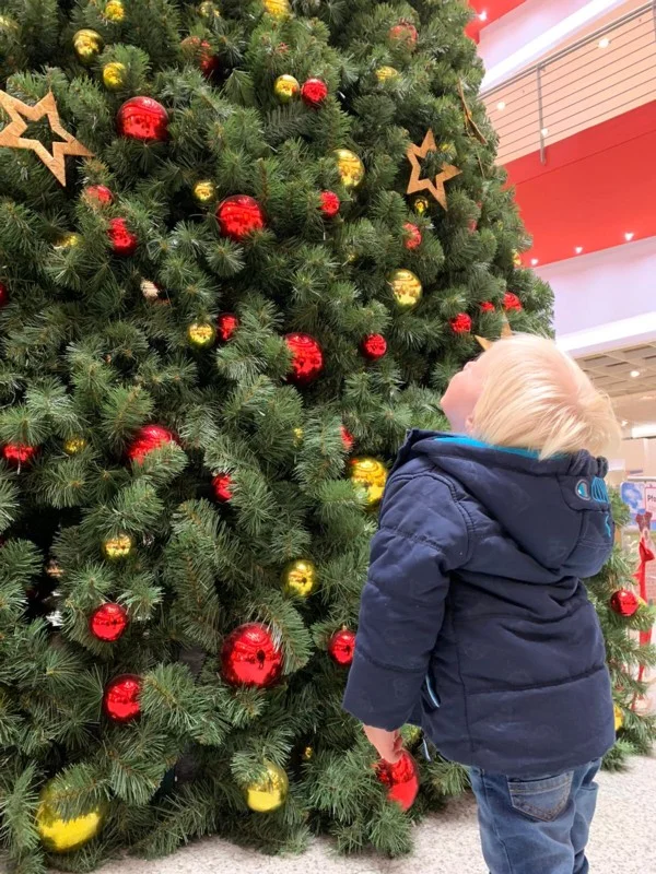 Bei der Granatapfelernte in Rahova – 26