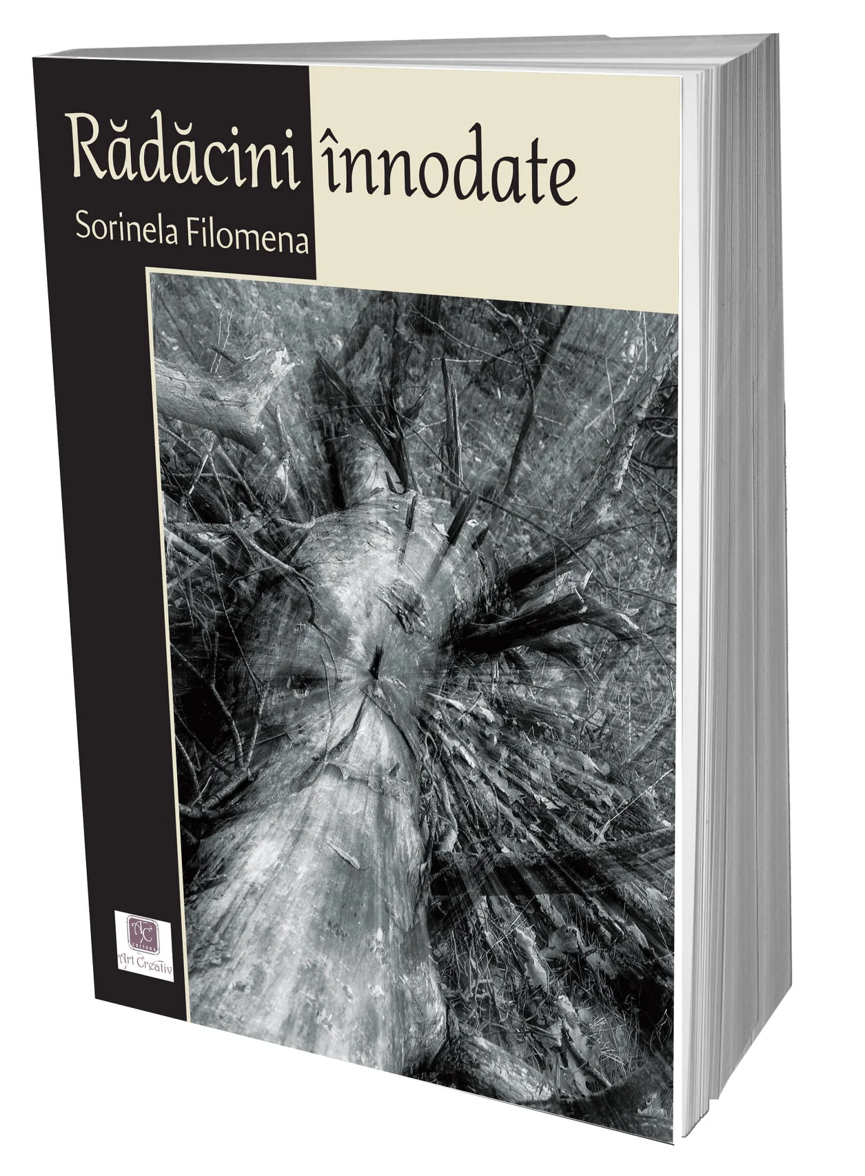 … Și deasupra tuturora, poezia!