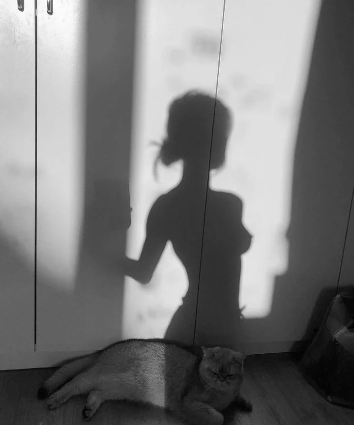 Când treci de Venus faci la stânga 