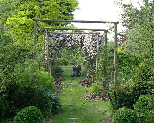 Magnolia, pergola et follia