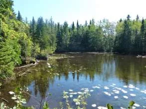 Espoir et désespoir