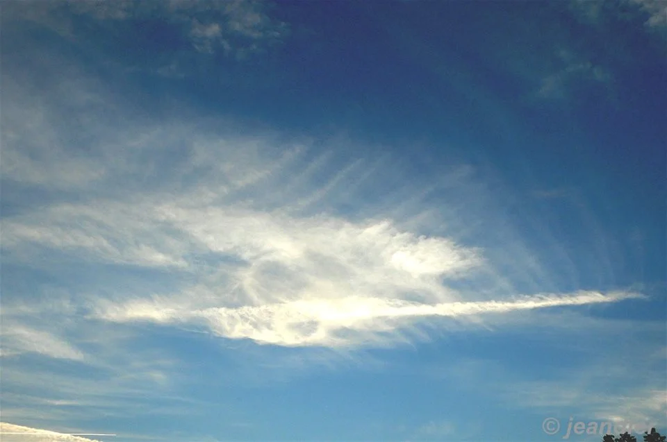 Ma vie ne tient qu’à un fil