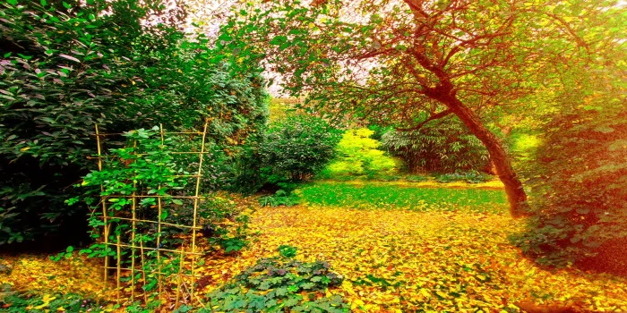 LE JARDIN