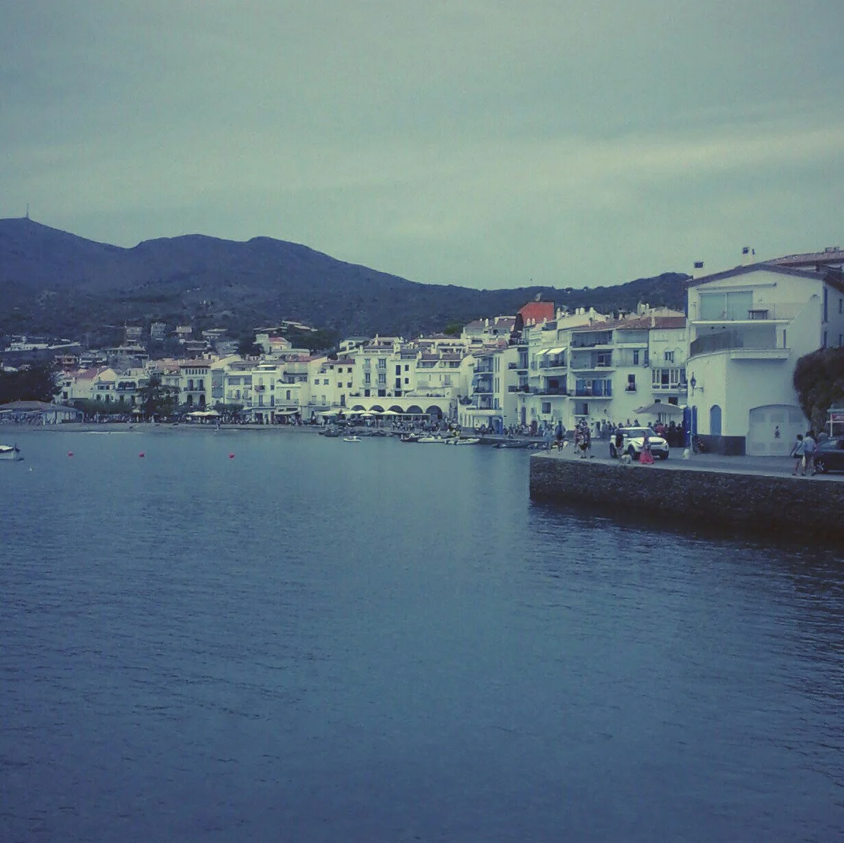  ''À l'ami qui ne m'a pas sauvé la vie''