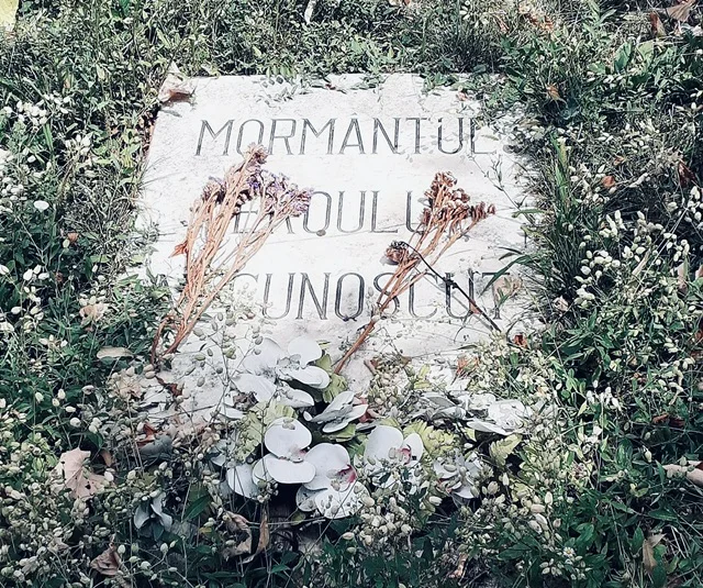 Pierdut pentru totdeauna