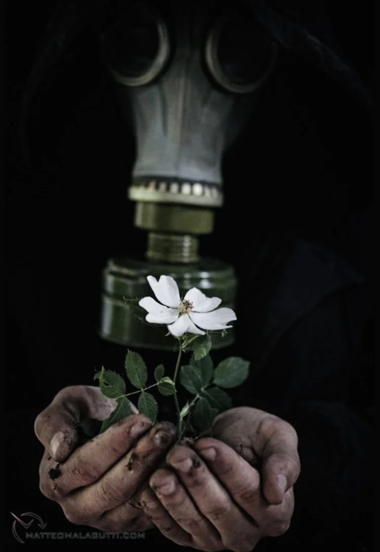 Când seacă sângele