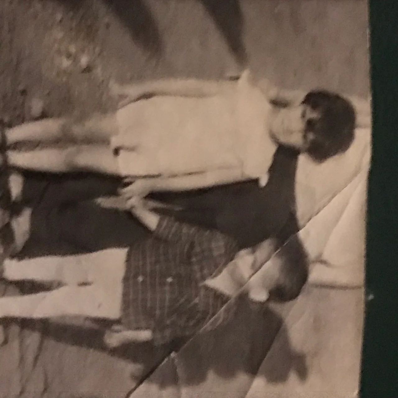 jumătatea întreagă