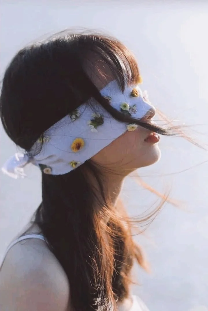 Carcasa nevăzută de oameni 