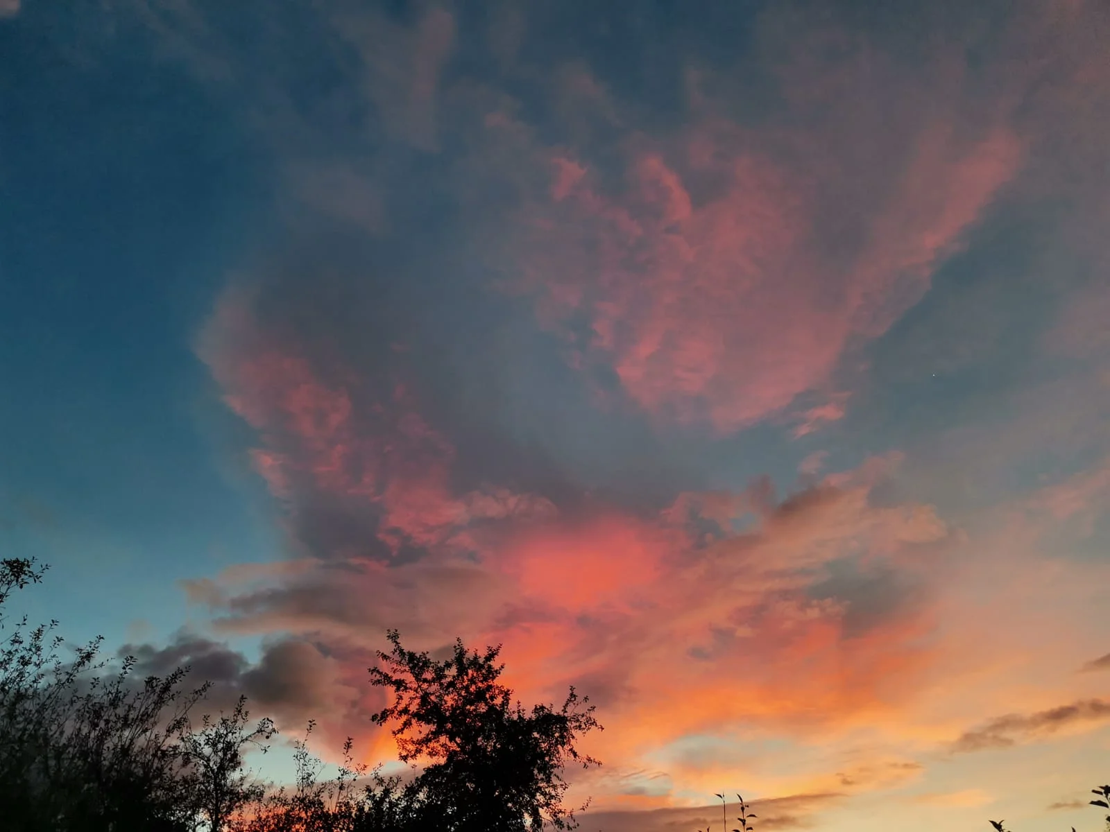 Echipele Israelului participă la campionatele europene? Da, participă la ce vor ele!