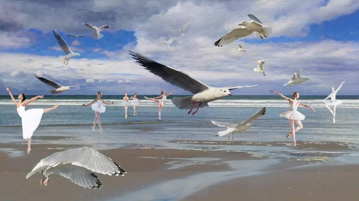 Les ballerines du Petit-Enfer