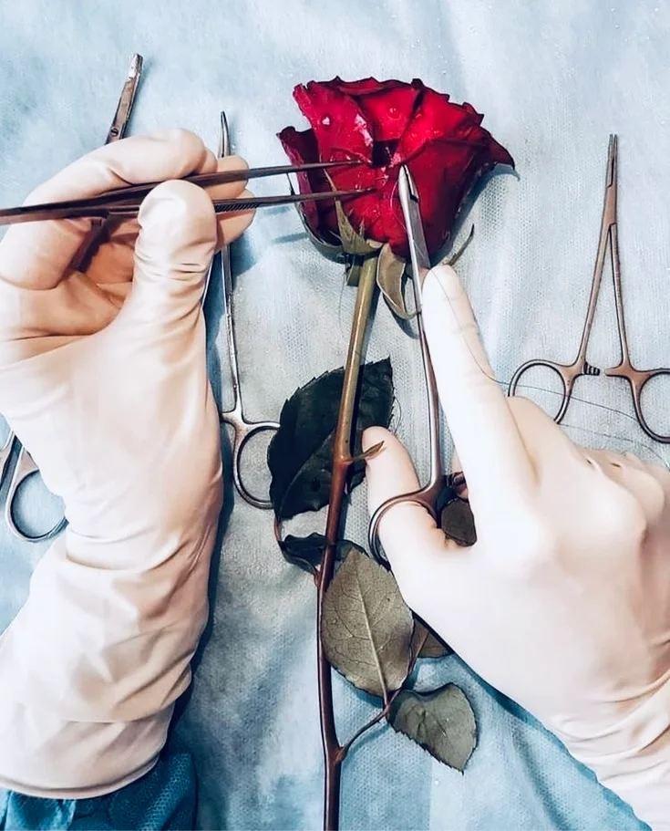 Fericirea unui bisturiu