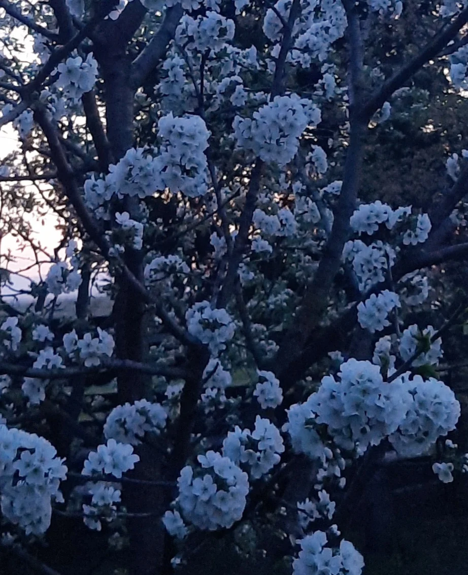 Rătăcire într-o clipă