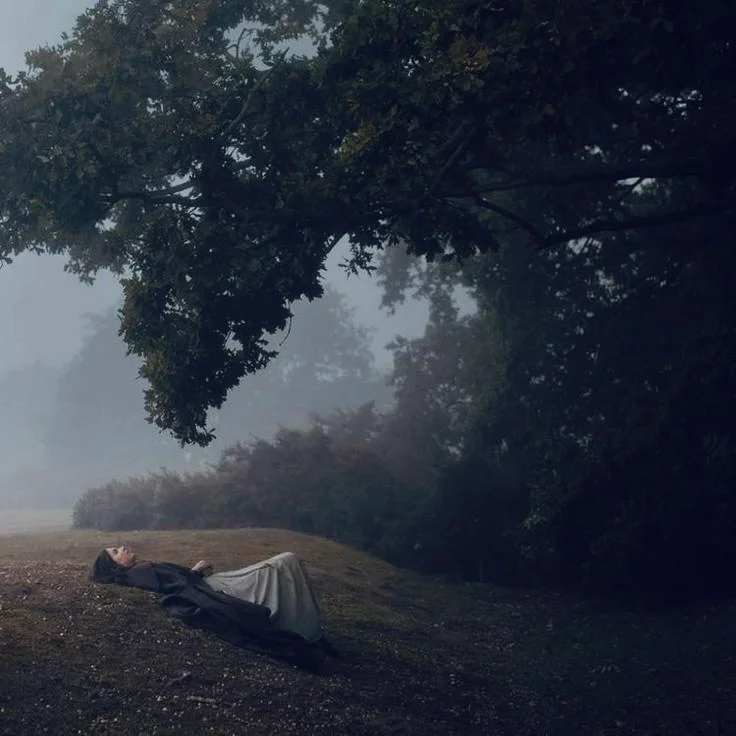 această liniște care a învățat să urle