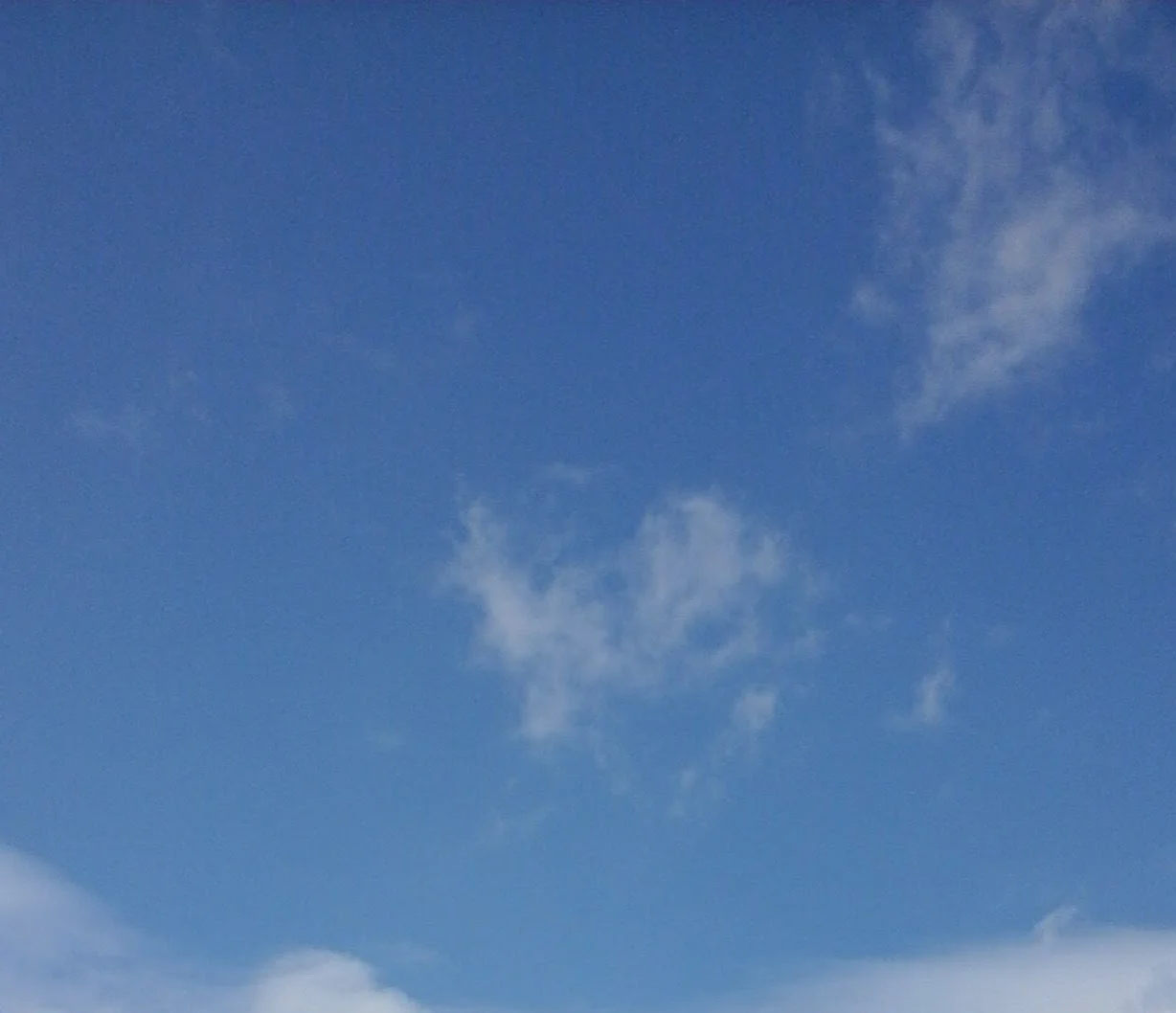 ''Le marcheur du Pôle''