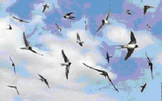 Poétiquement, ma vie...