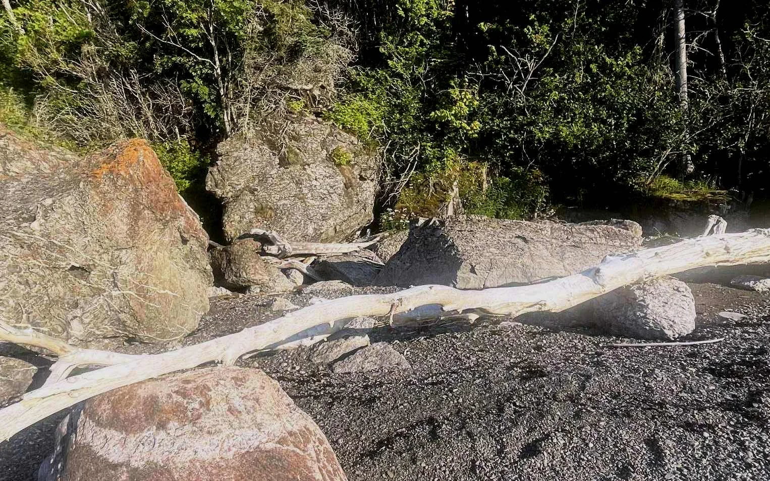 Poème écrit sur une branche face à la mer