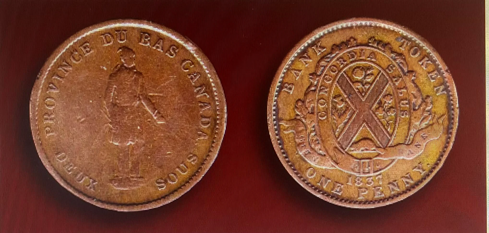 Ce monde fou fou fou