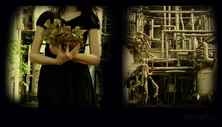 “Teatrul trebuie să aibă ritmul normal al vieții și al lumii în care trăim”