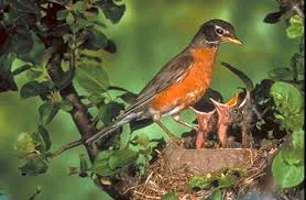 Peu importe où que tu sois…