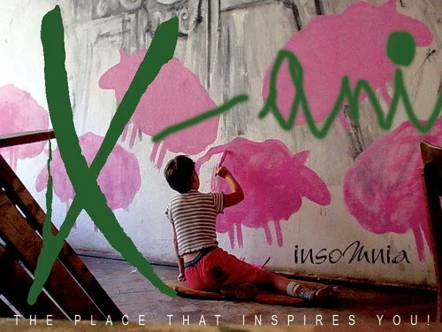 Insomnia, 10 ani. Seri culturale și muzicale