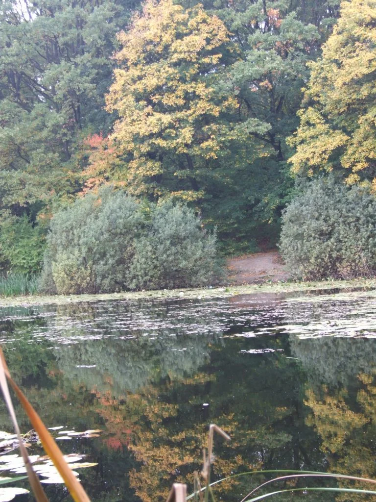  Demonismul istoric. Căderea în hybris și declanșarea apocalipsei. Acosmia malignă