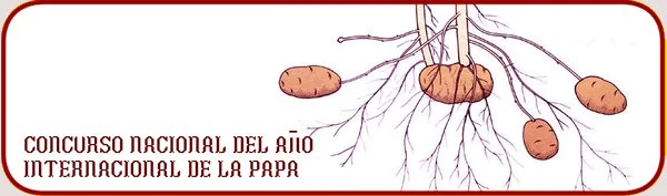 Concurso nacional del Año Internacional de la Papa.