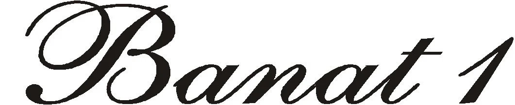 Revista \"Banat\", in format electronic