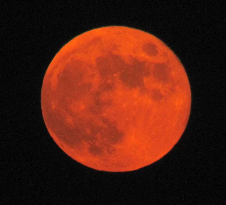 Ma fleur bien-aimée