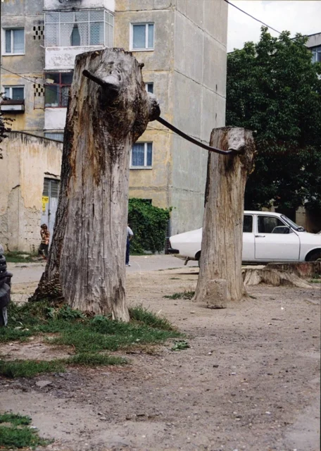 Arborii nimănui de lângă noi orășenii