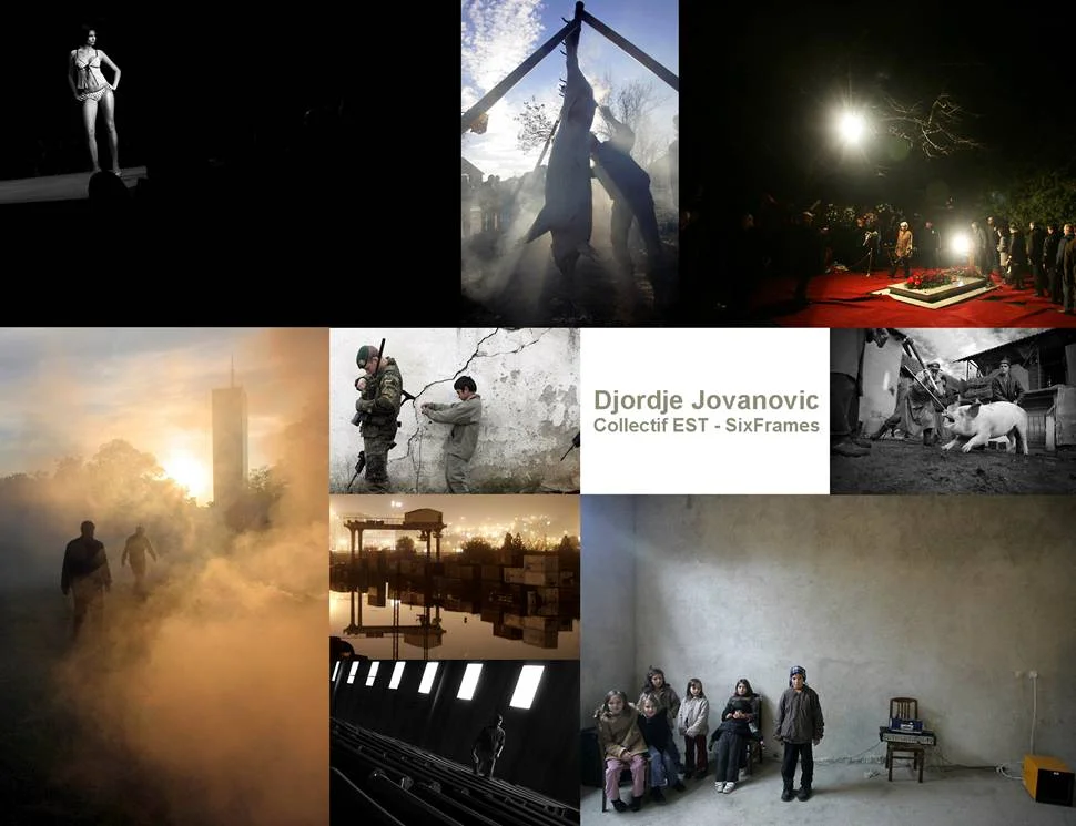 Collectif EST / Actualité : Grippe aviaire - Roumanie - Bulgarie - Montenegro - Djordje Jovanovic