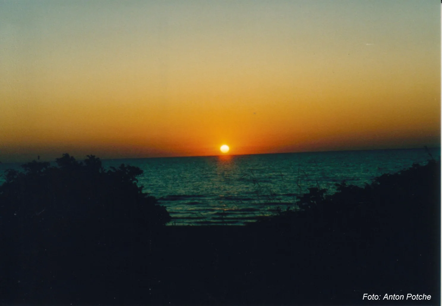 Festival poezie.ro – Agigea 2006