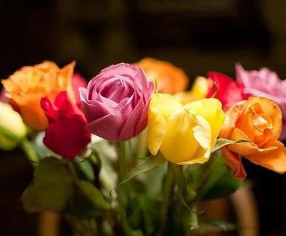 Couleur de mon cœur