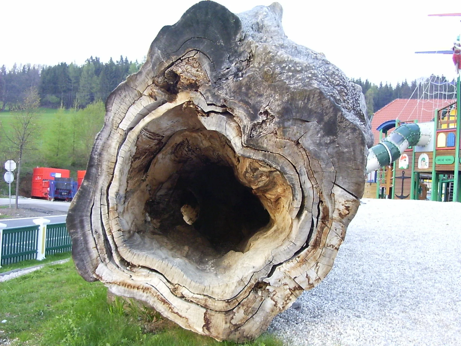 Între națiune și popor sau printre