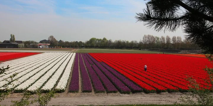 Poésies et aphorismes (4)