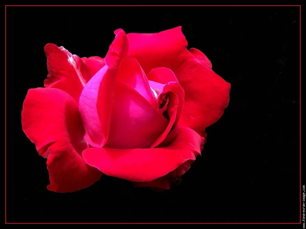 Poésies et aphorismes (2)