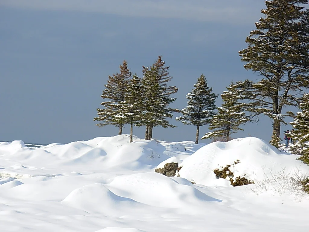 Les sentinelles de la grotte
