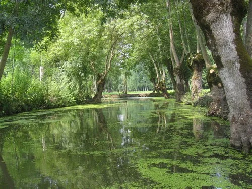 Nos rendez-vous doux