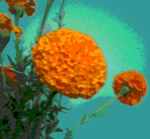 Stăteam așa culcată