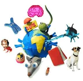 Welcome to the Agonia website